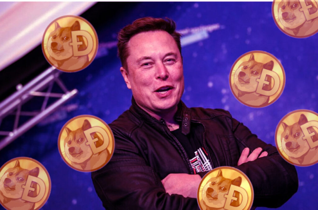 musk-doge